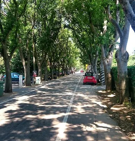 Borik 86 *